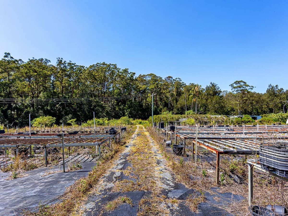 3 Mark Way, MUDGEERABA - Thumbnail 23