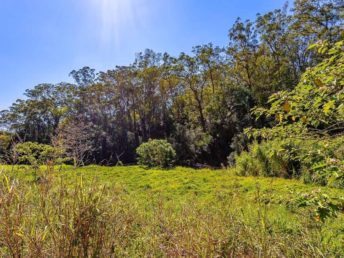3 Mark Way, MUDGEERABA - Thumbnail 25