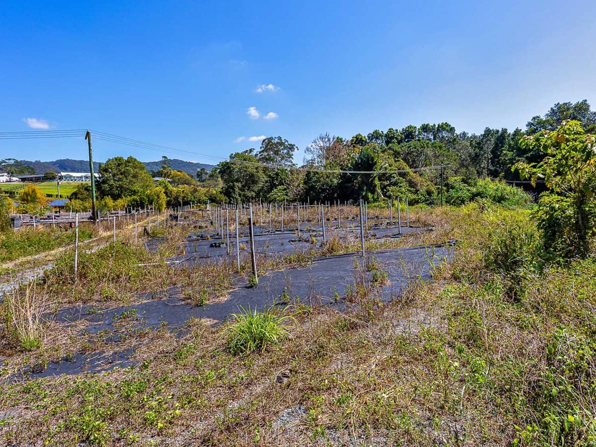 3 Mark Way, MUDGEERABA - Thumbnail 21