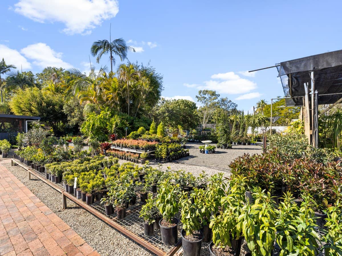 85 Waterford Tamborine Road, WATERFORD - Thumbnail 22