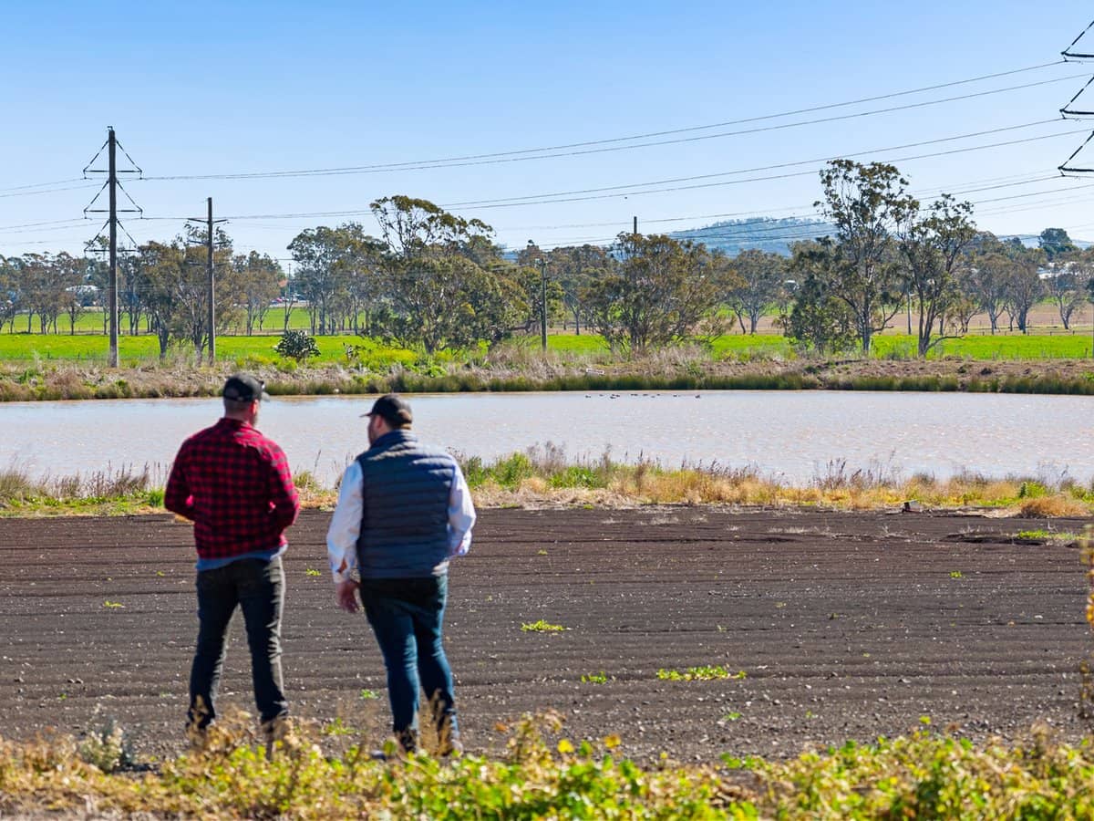 "Westview" 189 Toowoomba-Karara Road, FINNIE - Thumbnail 4