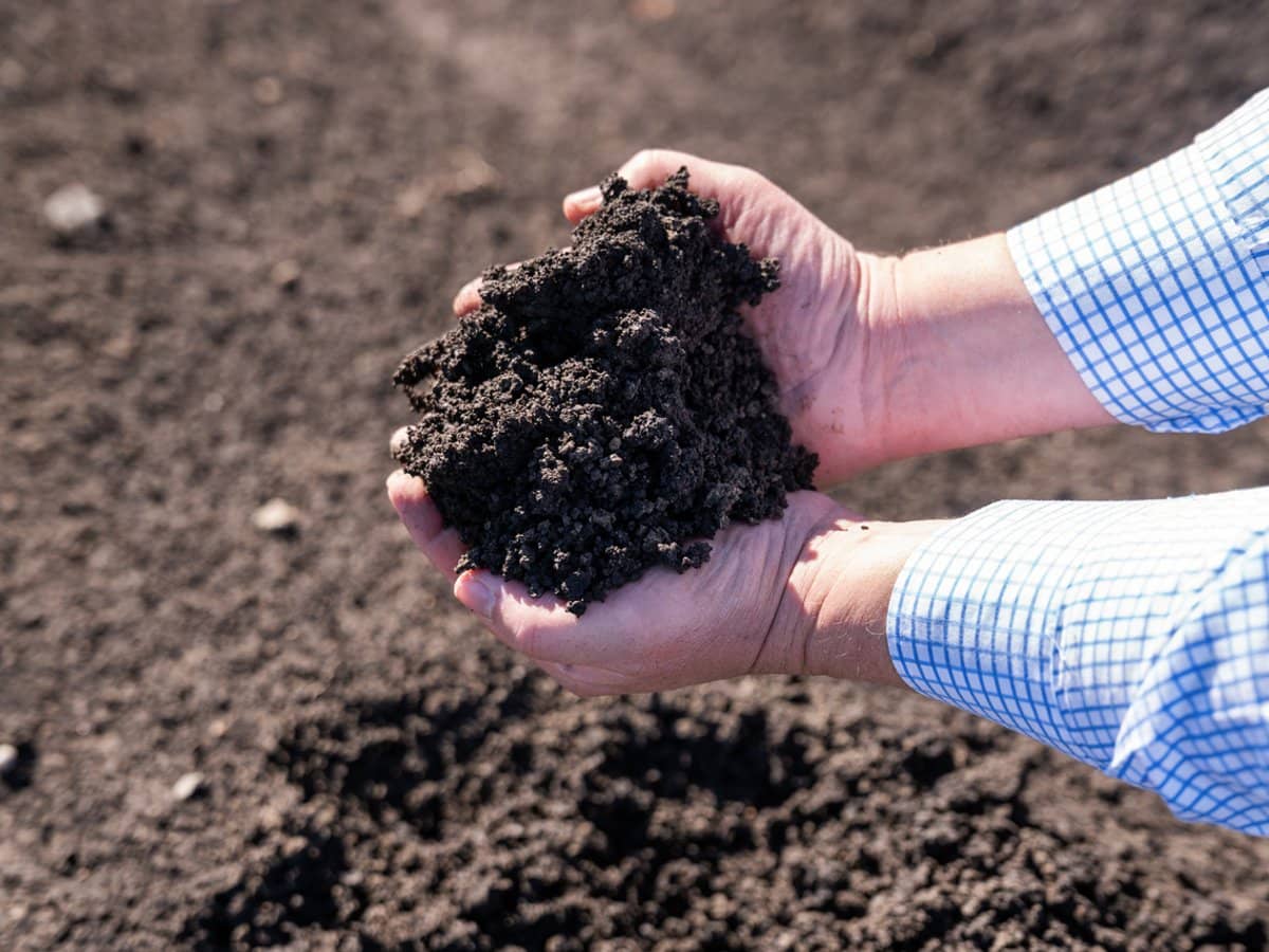 "Westview" 189 Toowoomba-Karara Road, FINNIE - Thumbnail 7