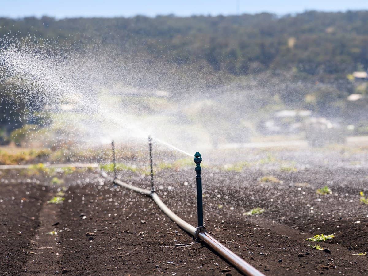 "Westview" 189 Toowoomba-Karara Road, FINNIE - Thumbnail 8