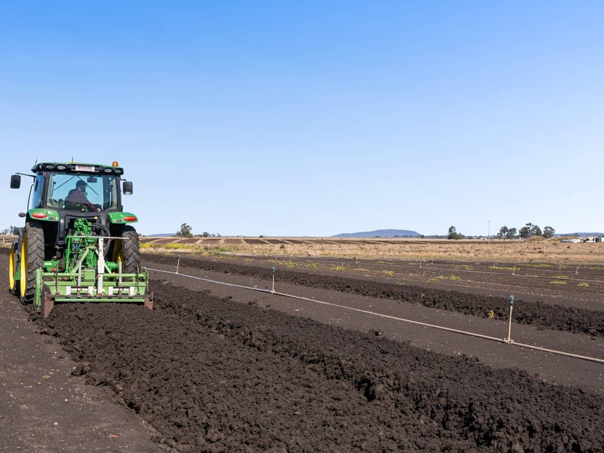 "Westview" 189 Toowoomba-Karara Road, FINNIE - Thumbnail 10