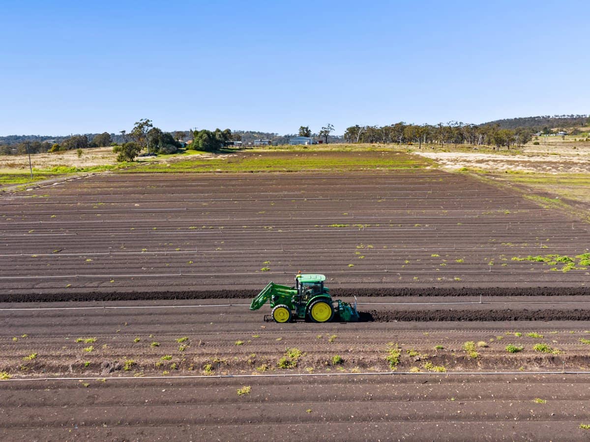 "Westview" 189 Toowoomba-Karara Road, FINNIE - Thumbnail 11