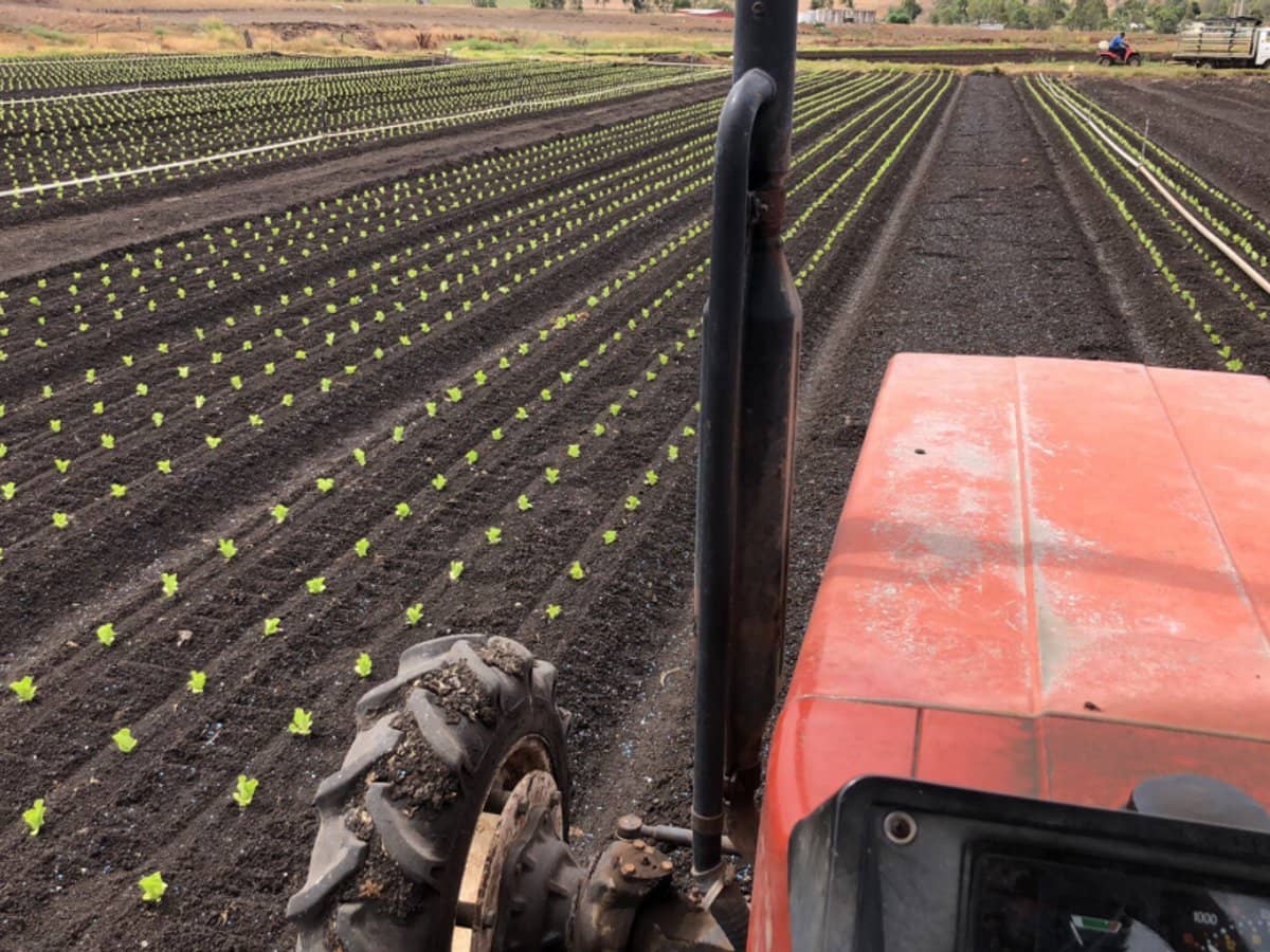 "Westview" 189 Toowoomba-Karara Road, FINNIE - Thumbnail 13