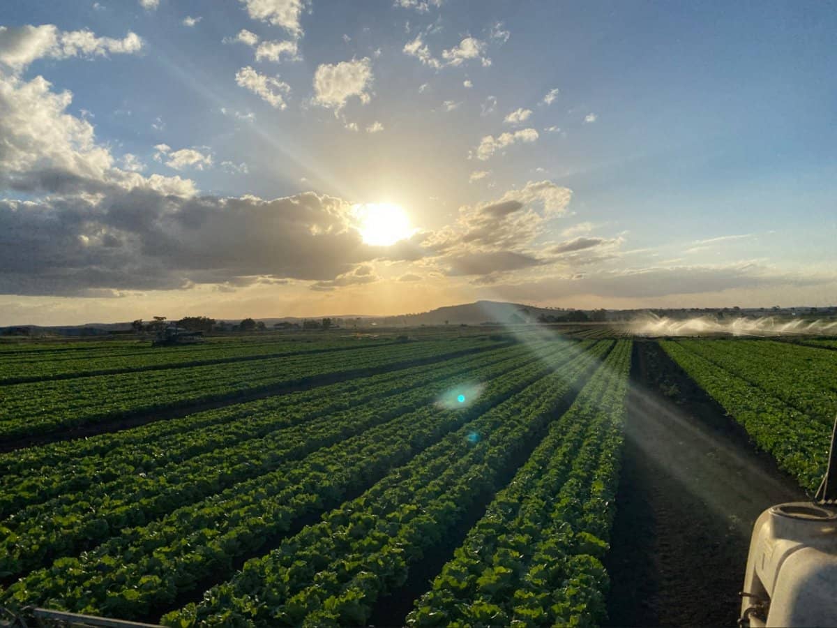 "Westview" 189 Toowoomba-Karara Road, FINNIE - Thumbnail 17