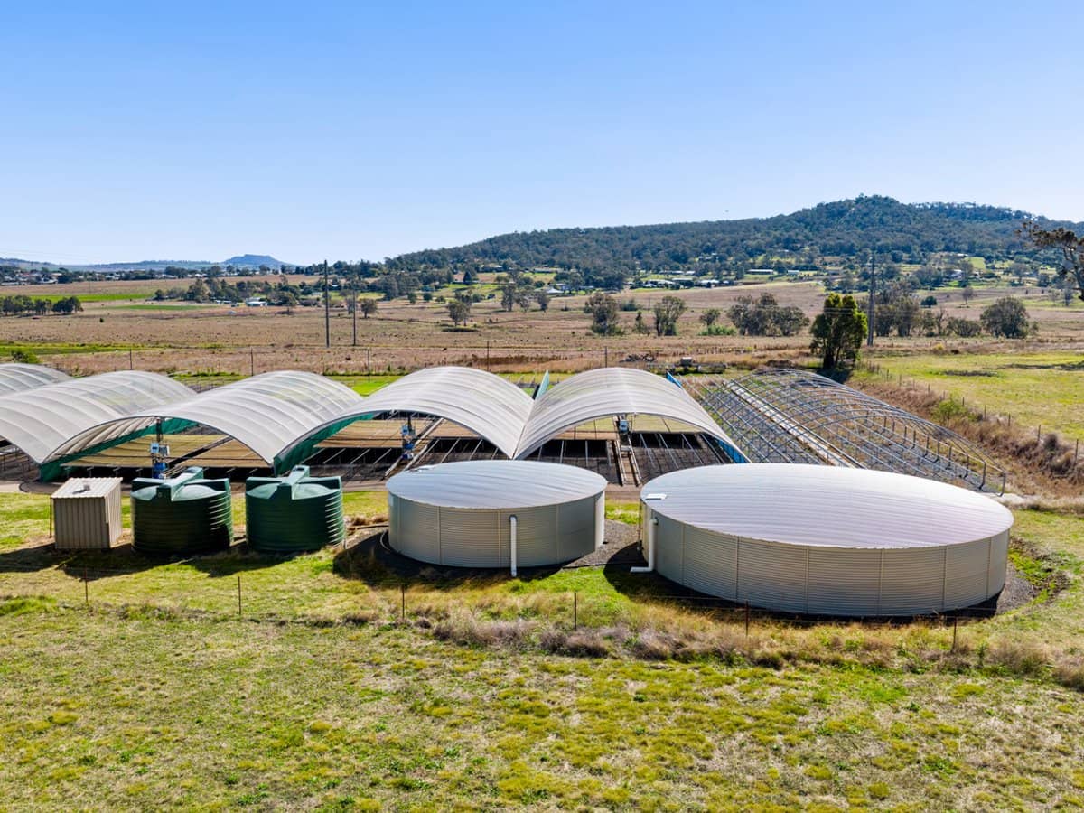 "Westview" 189 Toowoomba-Karara Road, FINNIE - Thumbnail 22