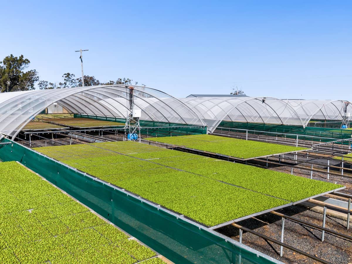 "Westview" 189 Toowoomba-Karara Road, FINNIE - Thumbnail 23