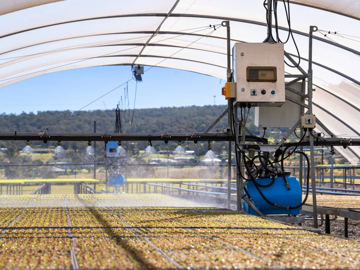 "Westview" 189 Toowoomba-Karara Road, FINNIE - Thumbnail 24