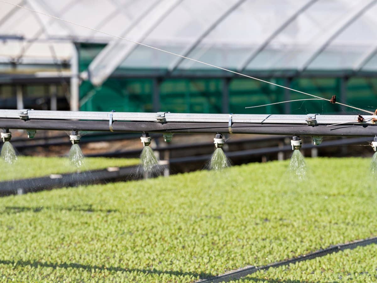 "Westview" 189 Toowoomba-Karara Road, FINNIE - Thumbnail 25