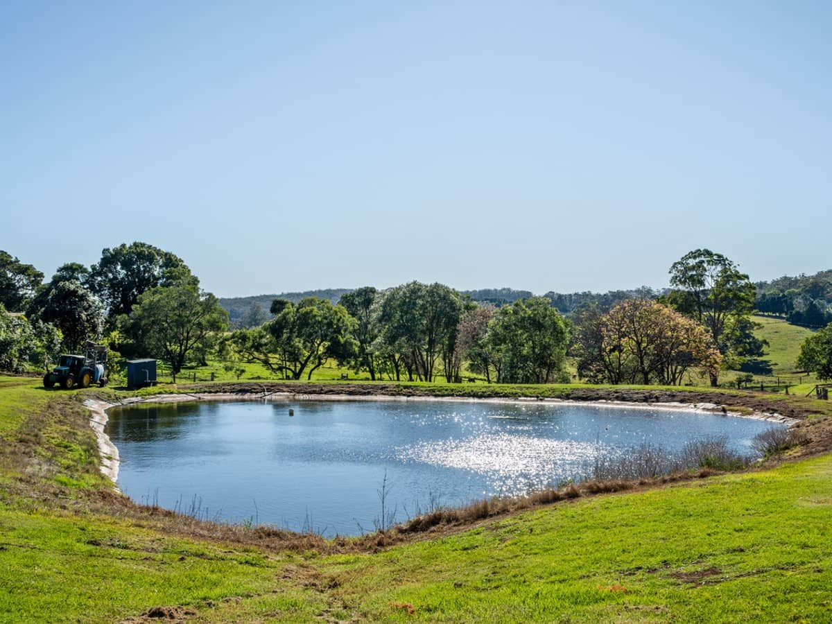 'Ravensbourne Ridge' 45 Blanck Road, RAVENSBOURNE - Thumbnail 4