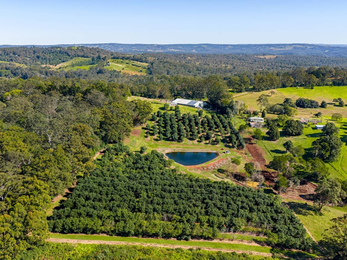 'Ravensbourne Ridge' 45 Blanck Road, RAVENSBOURNE - Thumbnail 5