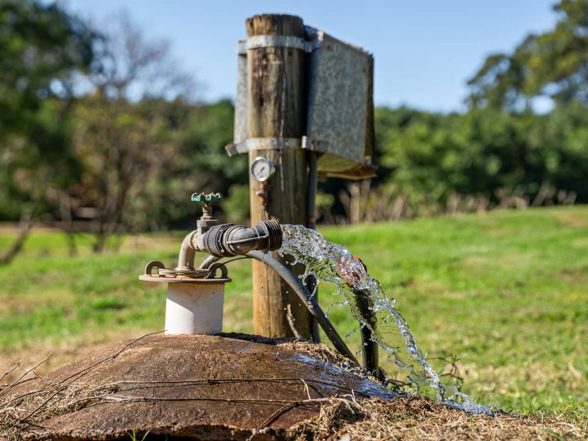 'Ravensbourne Ridge' 45 Blanck Road, RAVENSBOURNE - Thumbnail 6