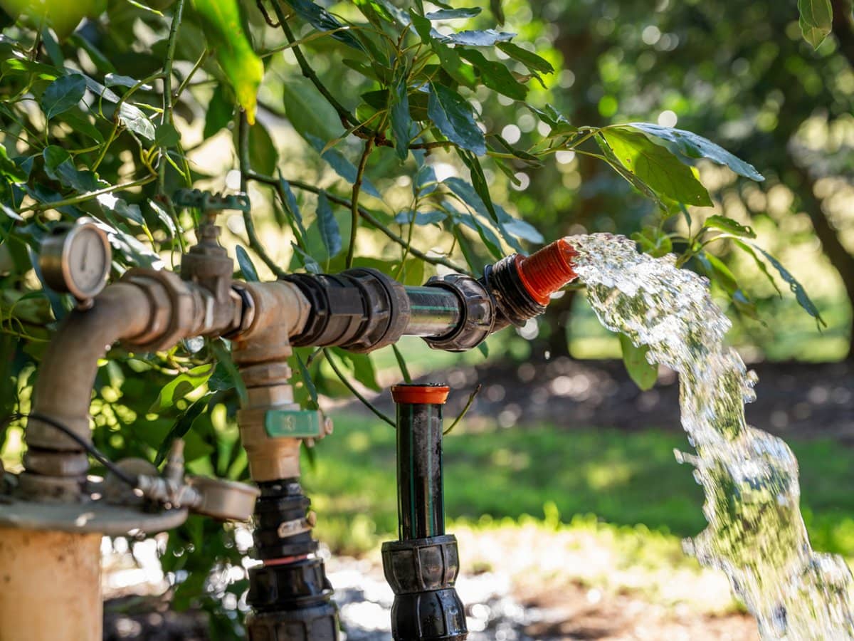 'Ravensbourne Ridge' 45 Blanck Road, RAVENSBOURNE - Thumbnail 7