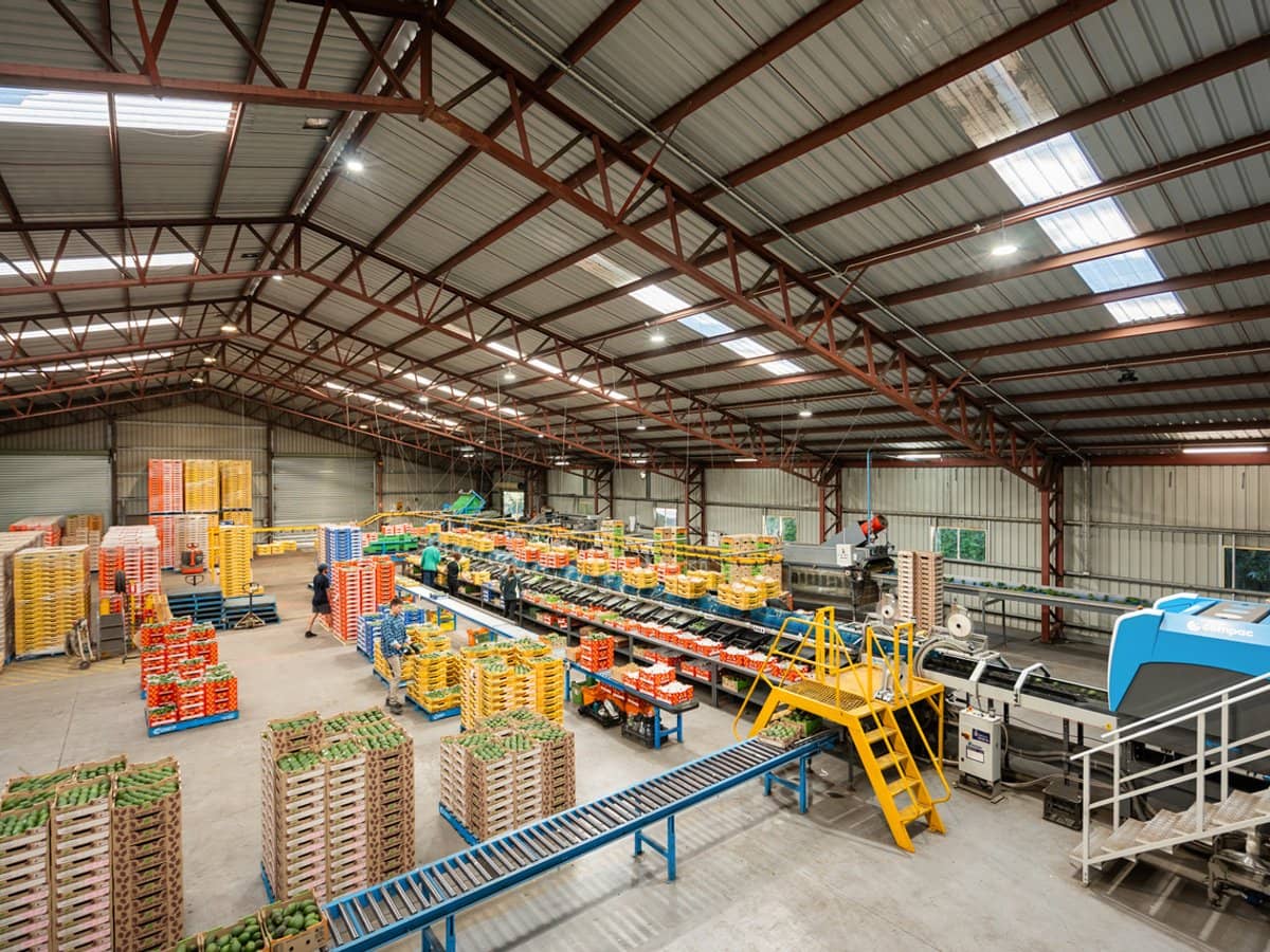 'Ravensbourne Ridge' 45 Blanck Road, RAVENSBOURNE - Thumbnail 9