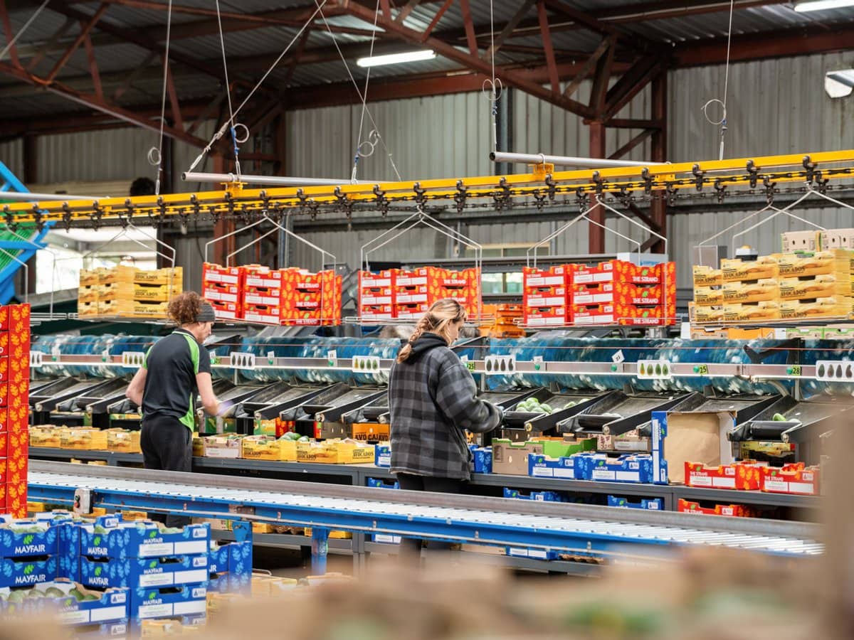 'Ravensbourne Ridge' 45 Blanck Road, RAVENSBOURNE - Thumbnail 10