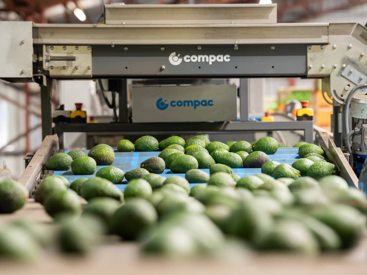 'Ravensbourne Ridge' 45 Blanck Road, RAVENSBOURNE - Thumbnail 11