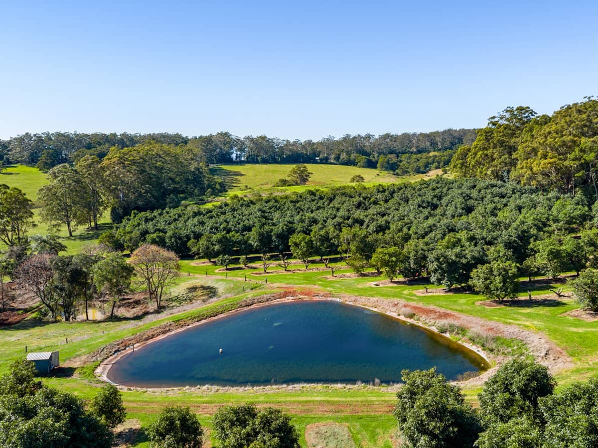 'Ravensbourne Ridge' 45 Blanck Road, RAVENSBOURNE - Thumbnail 15