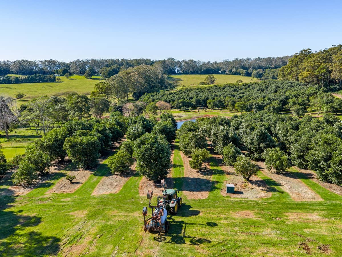 'Ravensbourne Ridge' 45 Blanck Road, RAVENSBOURNE - Thumbnail 16