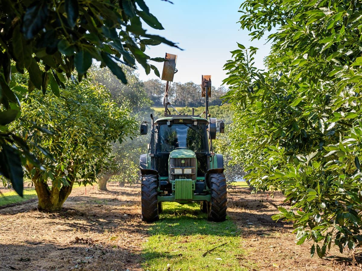 'Ravensbourne Ridge' 45 Blanck Road, RAVENSBOURNE - Thumbnail 19