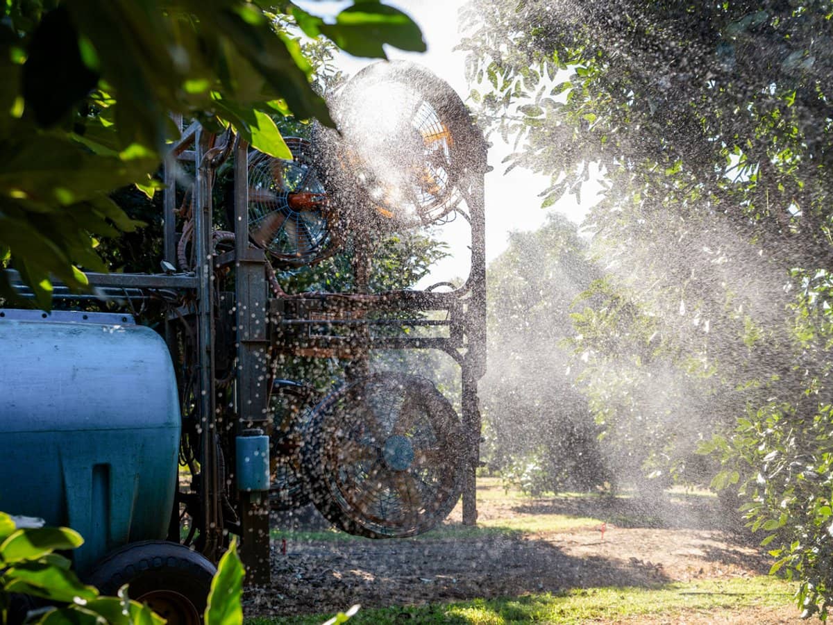 'Ravensbourne Ridge' 45 Blanck Road, RAVENSBOURNE - Thumbnail 20