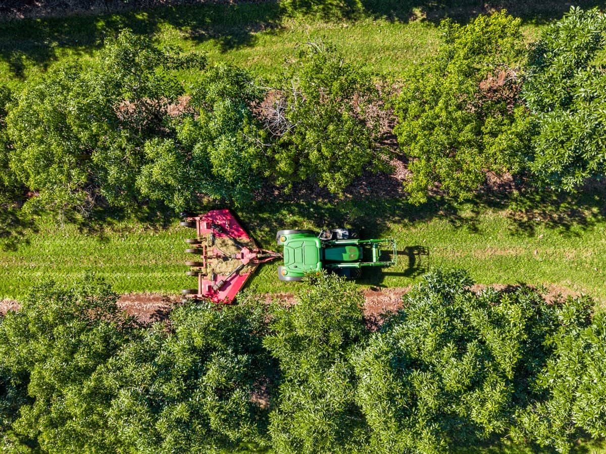 'Ravensbourne Ridge' 45 Blanck Road, RAVENSBOURNE - Thumbnail 22