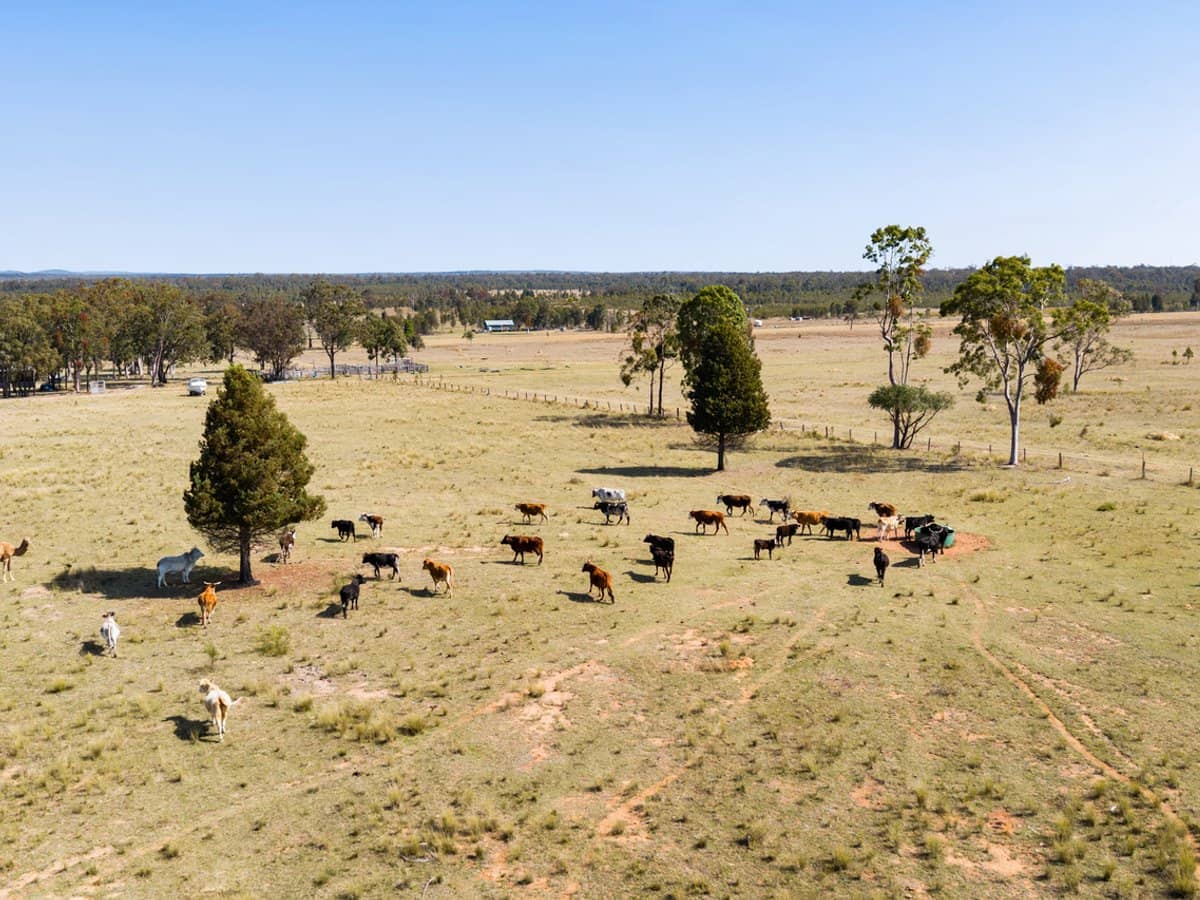 'Strathpine' 155 Burnett Road, TUMMAVILLE - Thumbnail 5