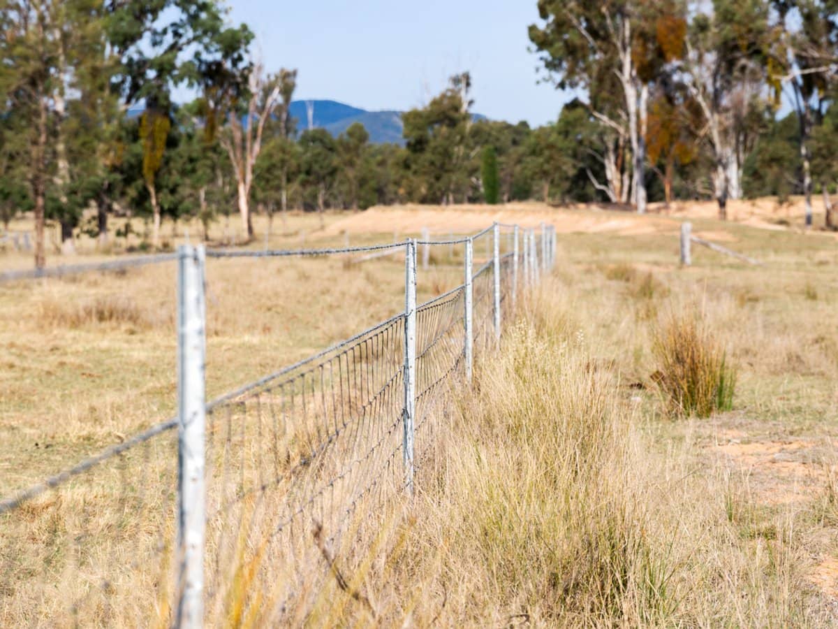 'Strathpine' 155 Burnett Road, TUMMAVILLE - Thumbnail 8