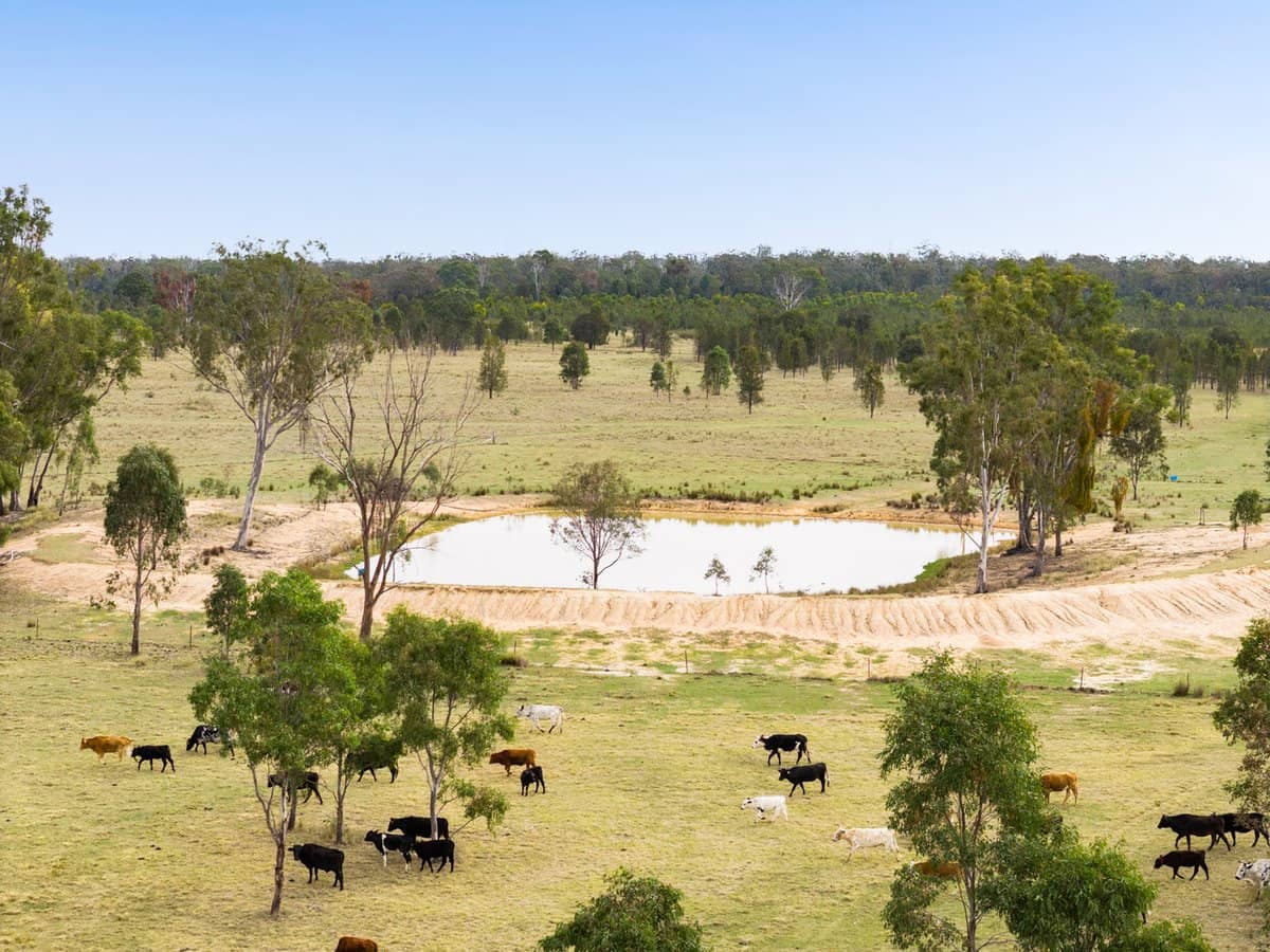 'Strathpine' 155 Burnett Road, TUMMAVILLE - Thumbnail 11