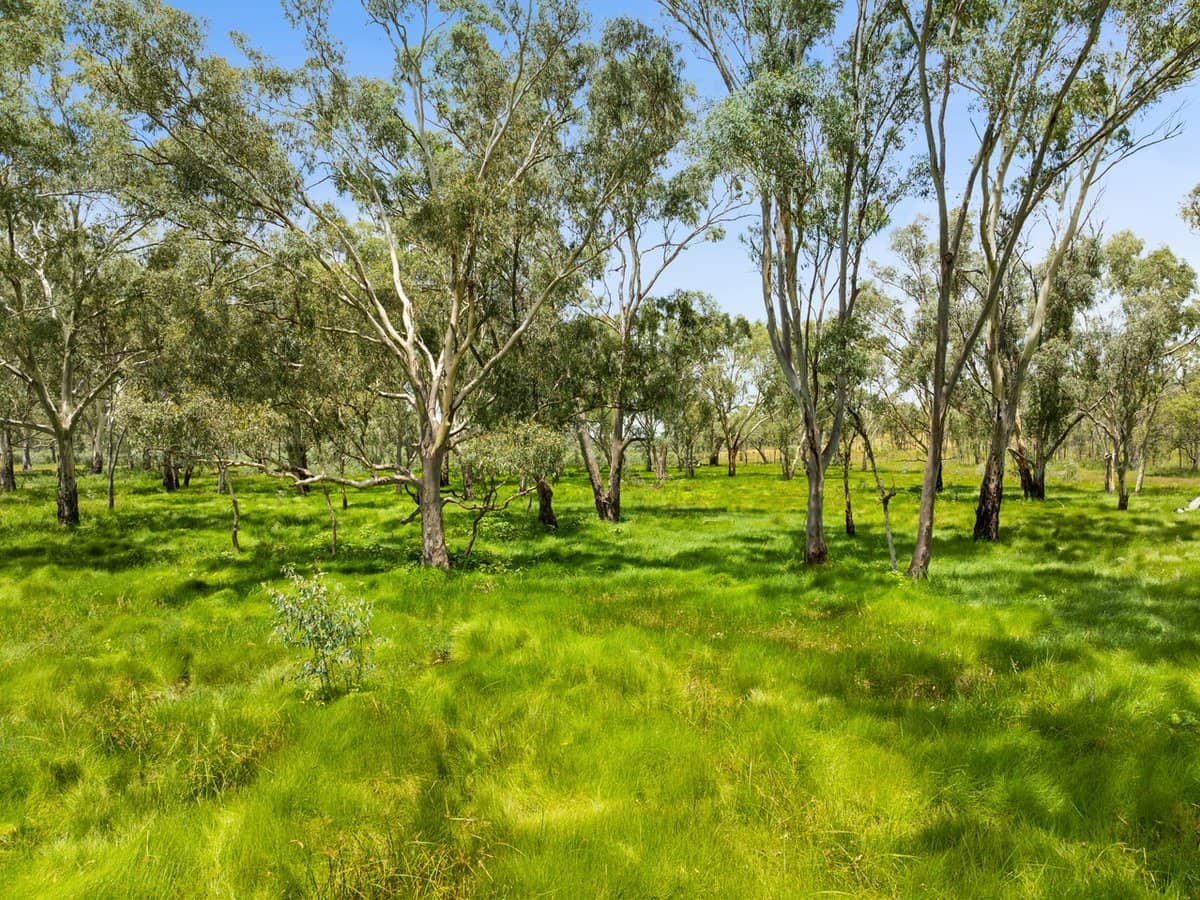 "Keheler Park" Lot89 Springate Lane, PRATTEN - Thumbnail 7