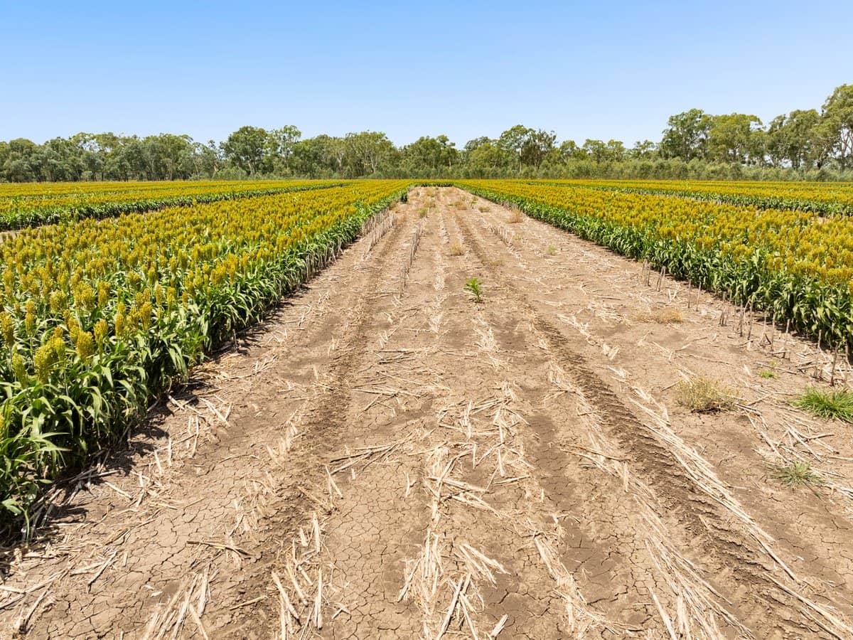 "Keheler Park" Lot89 Springate Lane, PRATTEN - Thumbnail 13