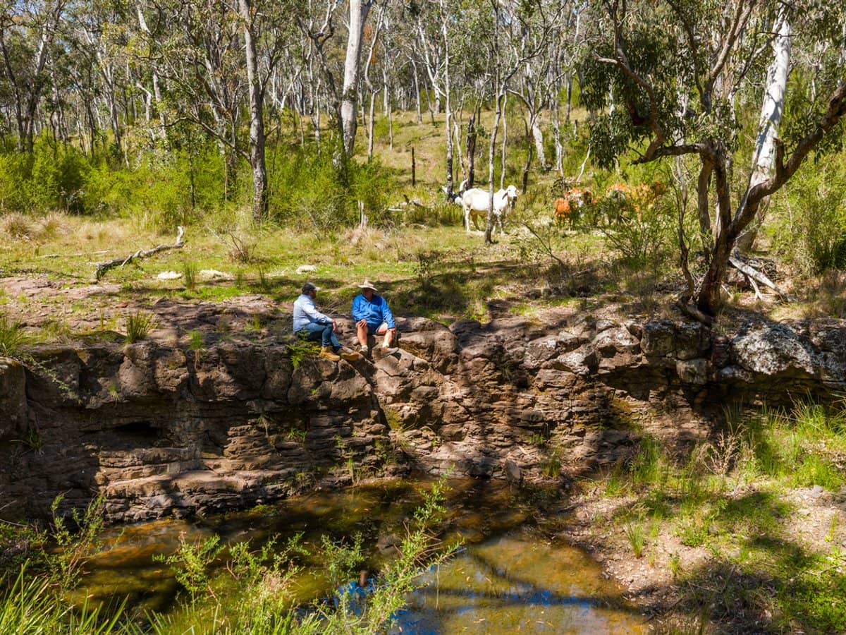 'Yabragunyah' Pilton Valley Road, UPPER PILTON - Thumbnail 3