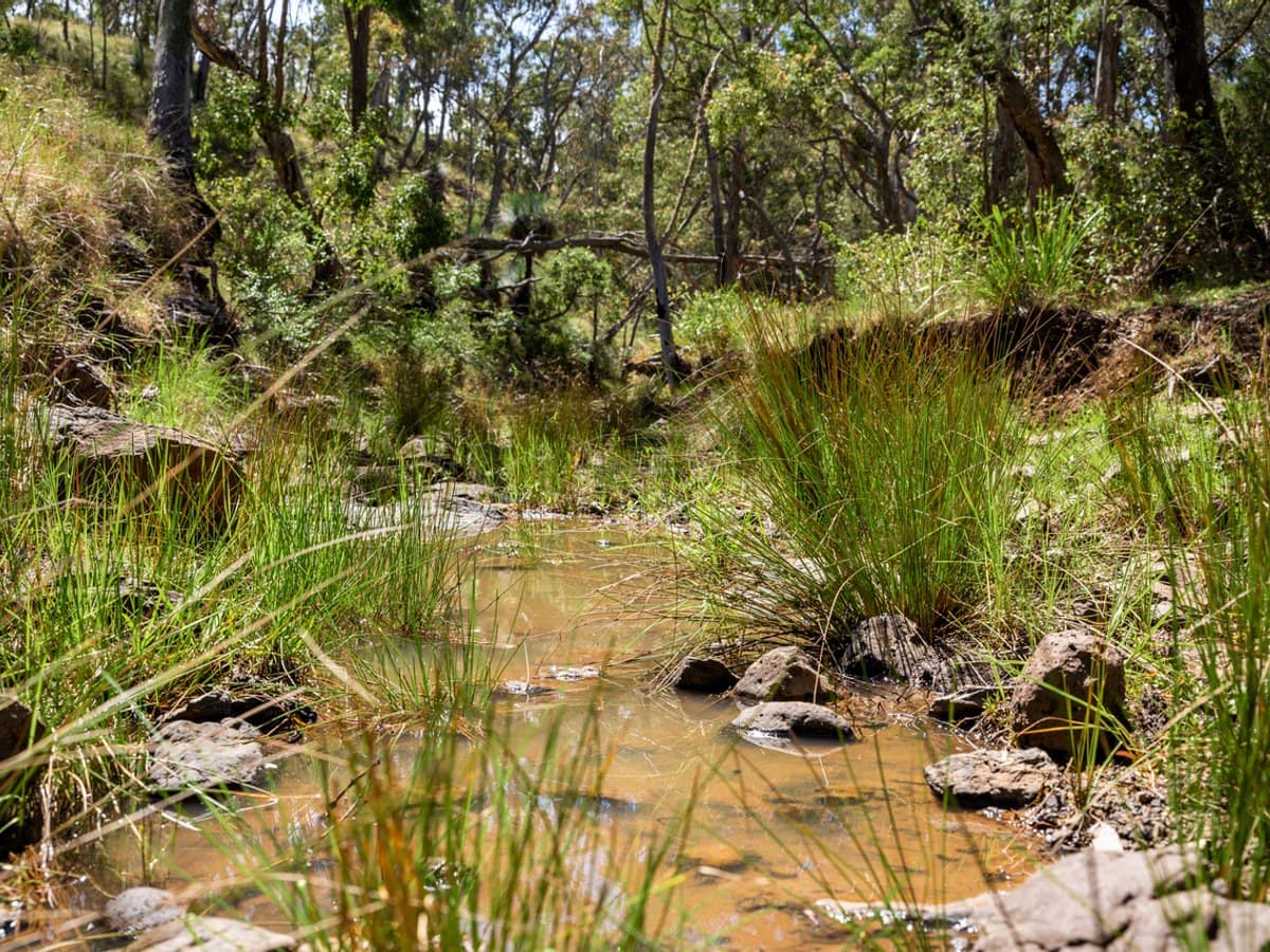 'Yabragunyah' Pilton Valley Road, UPPER PILTON - Thumbnail 13