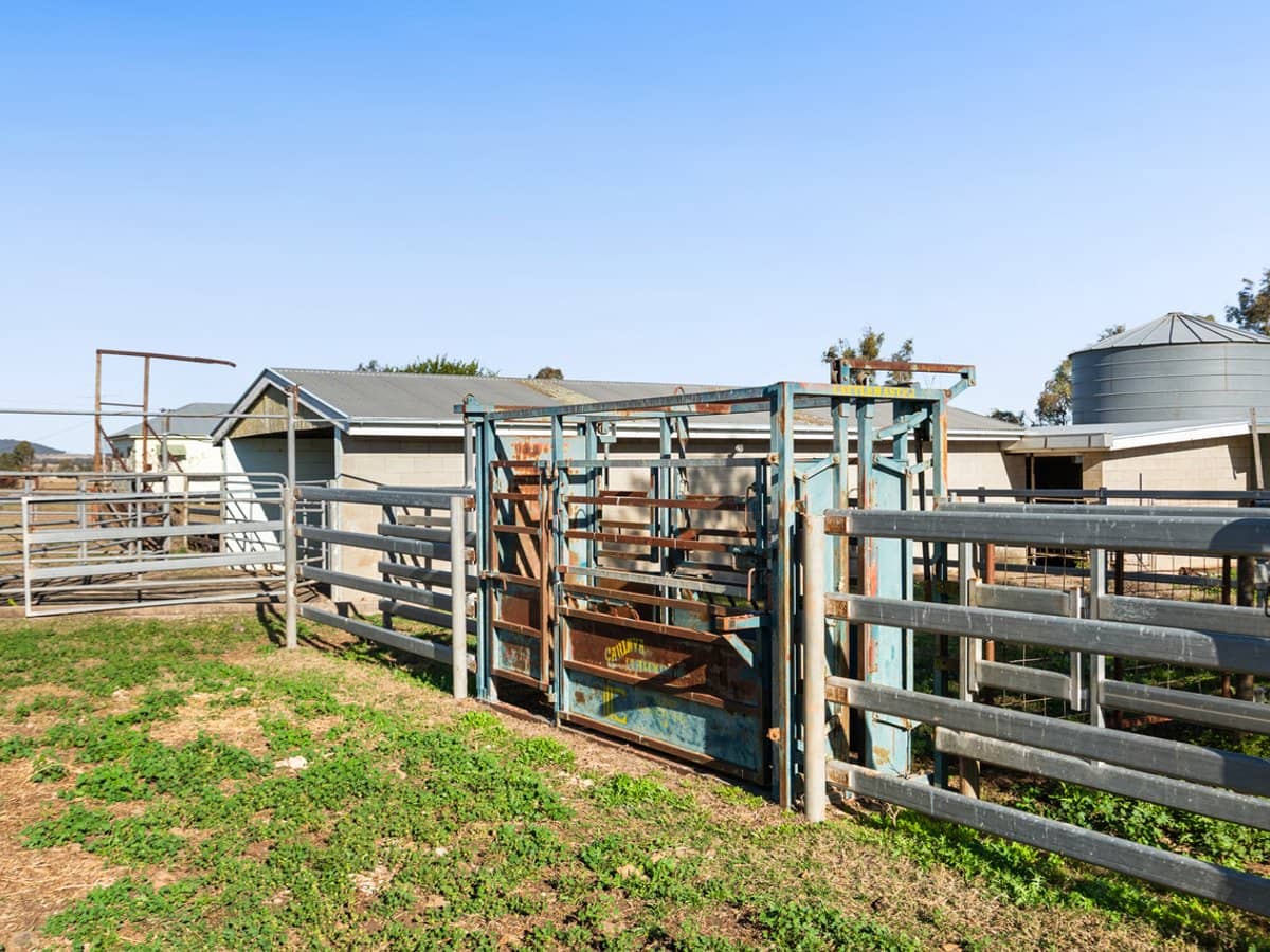 "Karinya" 586 Moran Road, LINTHORPE - Thumbnail 9