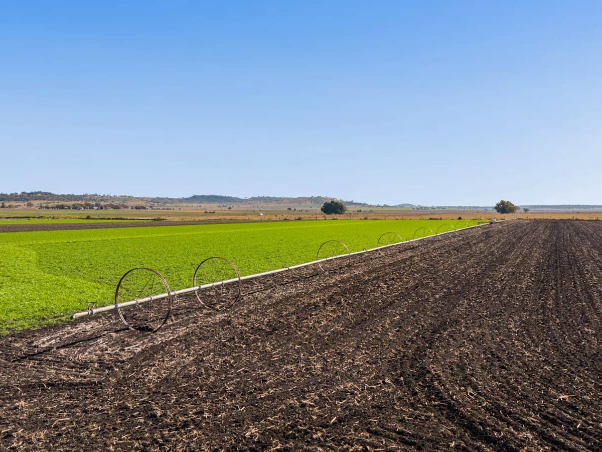 "Karinya" 586 Moran Road, LINTHORPE - Thumbnail 11