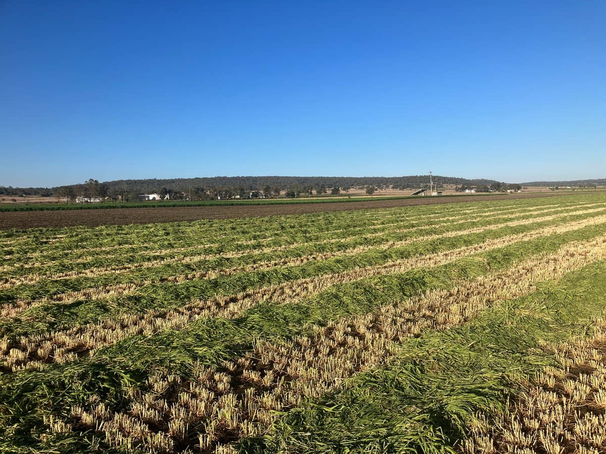 "Karinya" 586 Moran Road, LINTHORPE - Thumbnail 12