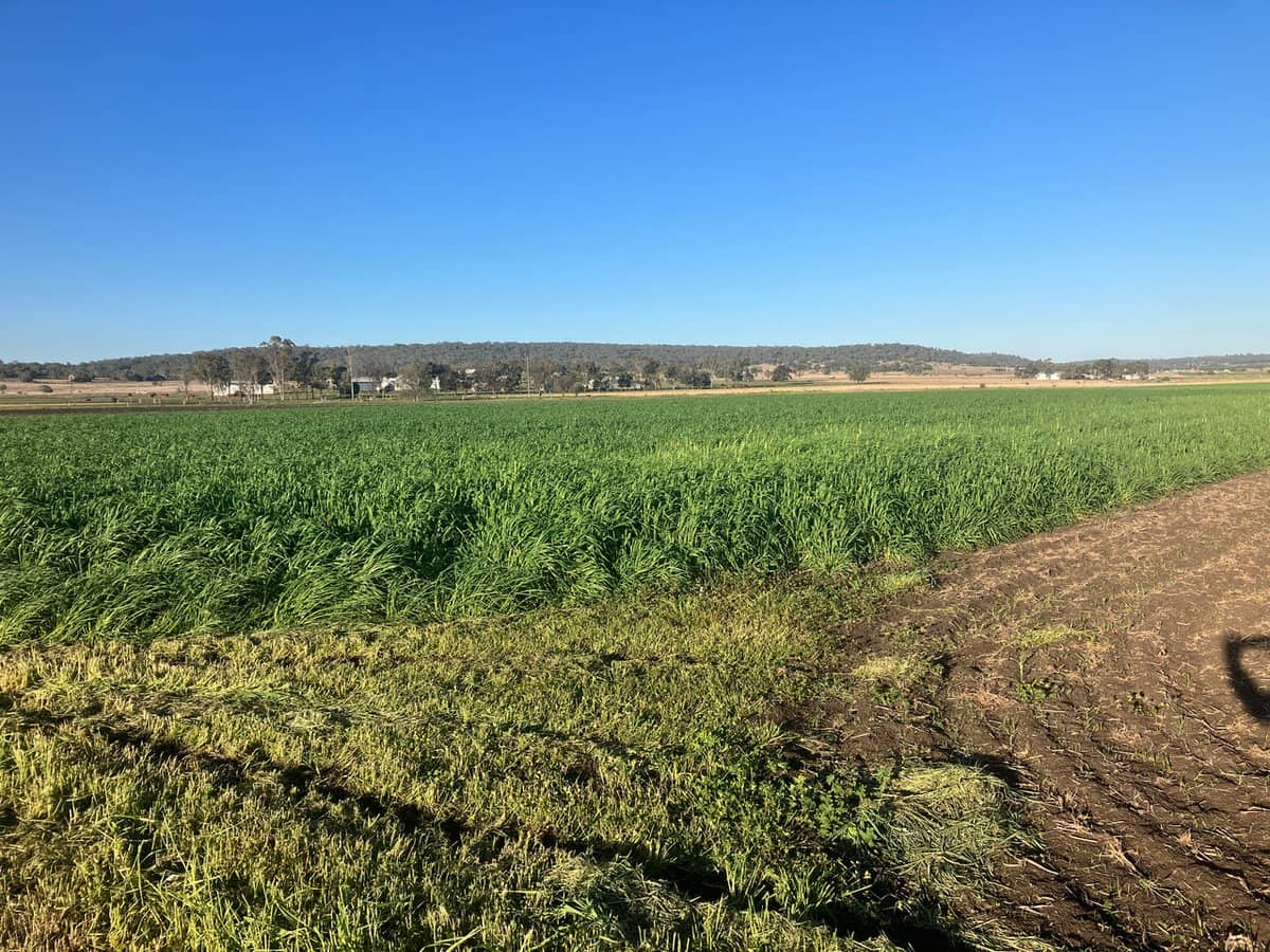 "Karinya" 586 Moran Road, LINTHORPE - Thumbnail 14