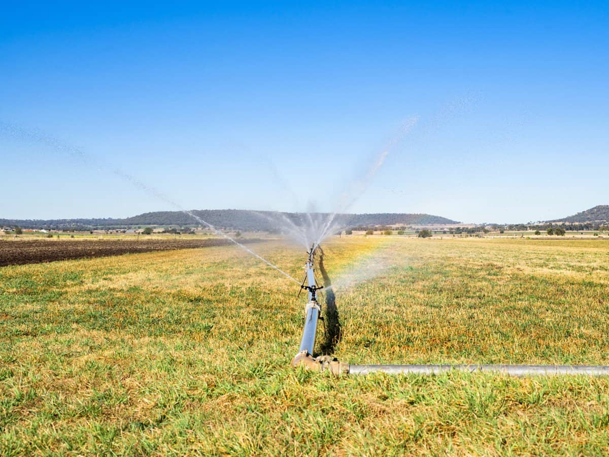 "Karinya" 586 Moran Road, LINTHORPE - Thumbnail 15