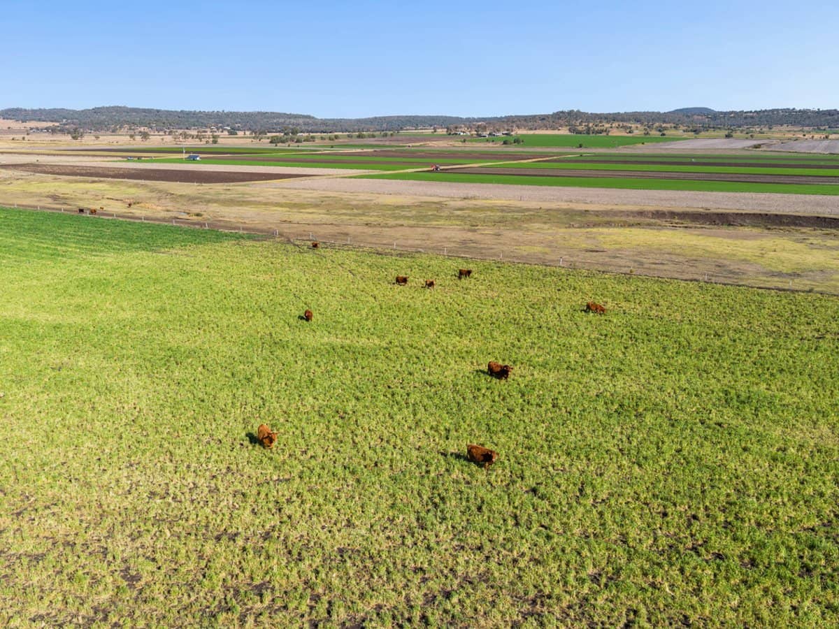 "Karinya" 586 Moran Road, LINTHORPE - Thumbnail 31