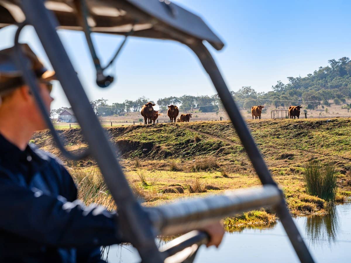 "Karinya" 586 Moran Road, LINTHORPE - Thumbnail 32