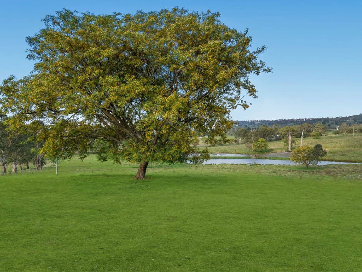 256 Veresdale Scrub School Road, Veresdale Scrub - Thumbnail 1