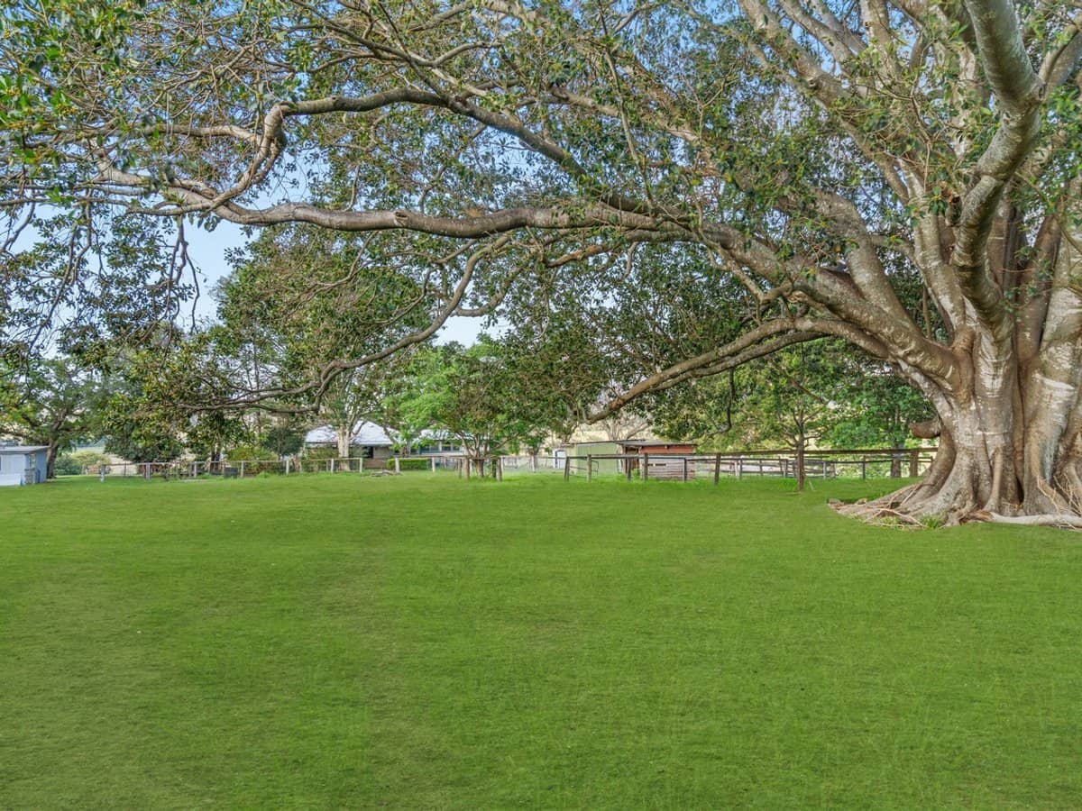 256 Veresdale Scrub School Road, Veresdale Scrub - Thumbnail 3