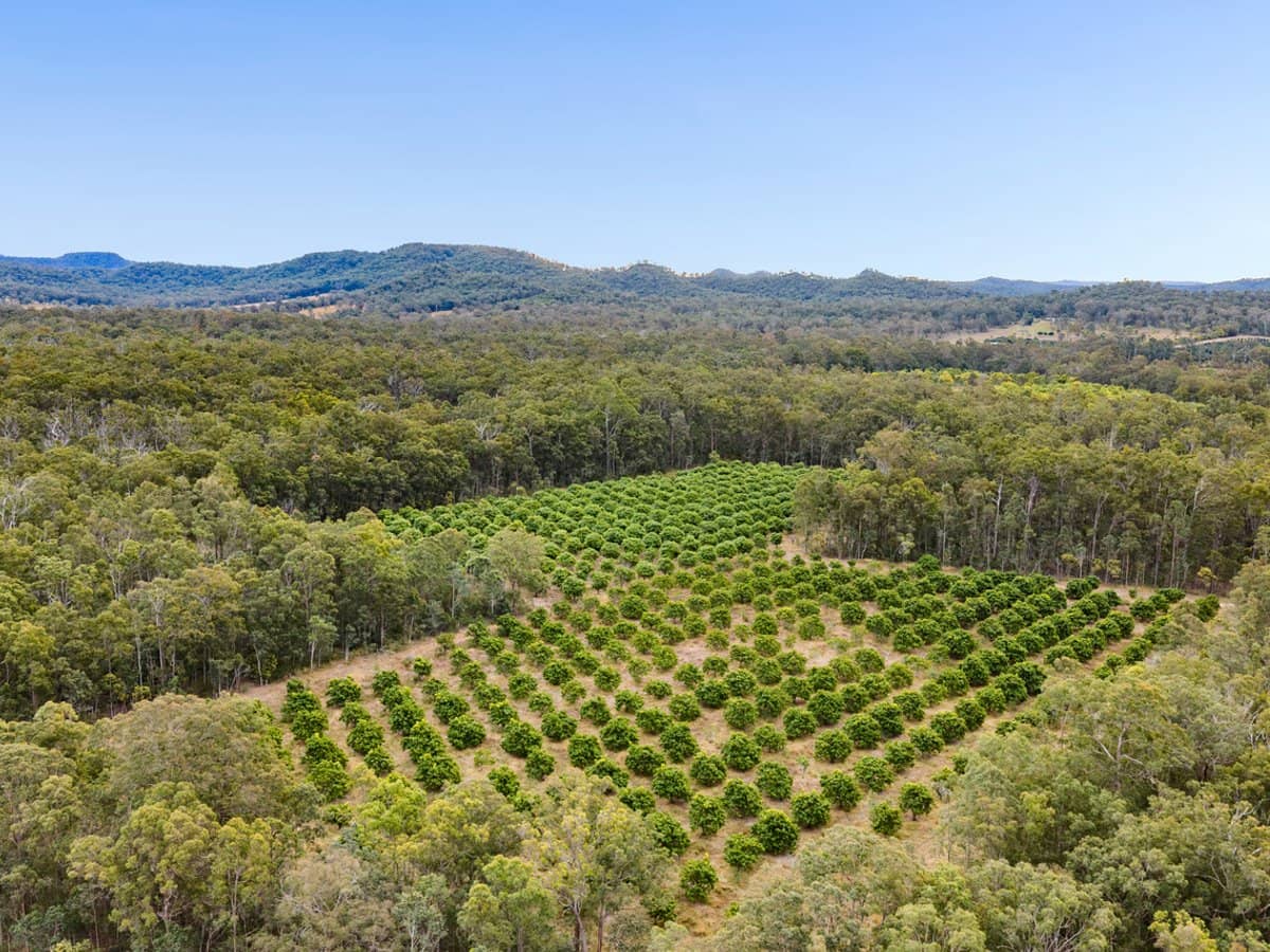 1331 Gatton Esk Road, SPRING CREEK - Thumbnail 3