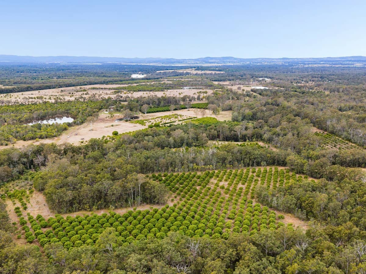 1331 Gatton Esk Road, SPRING CREEK - Thumbnail 4