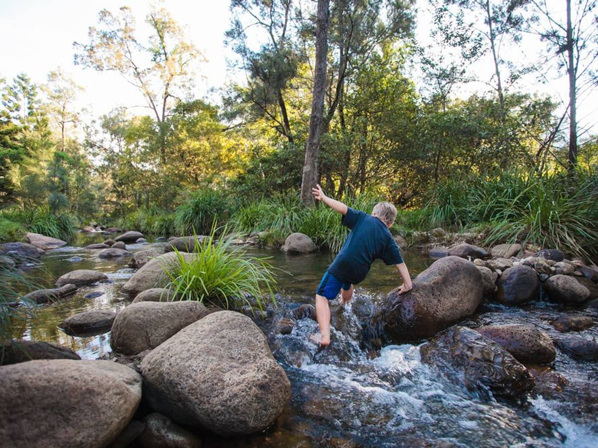 1093 Upper Logan Road, Mount Barney - Thumbnail 2
