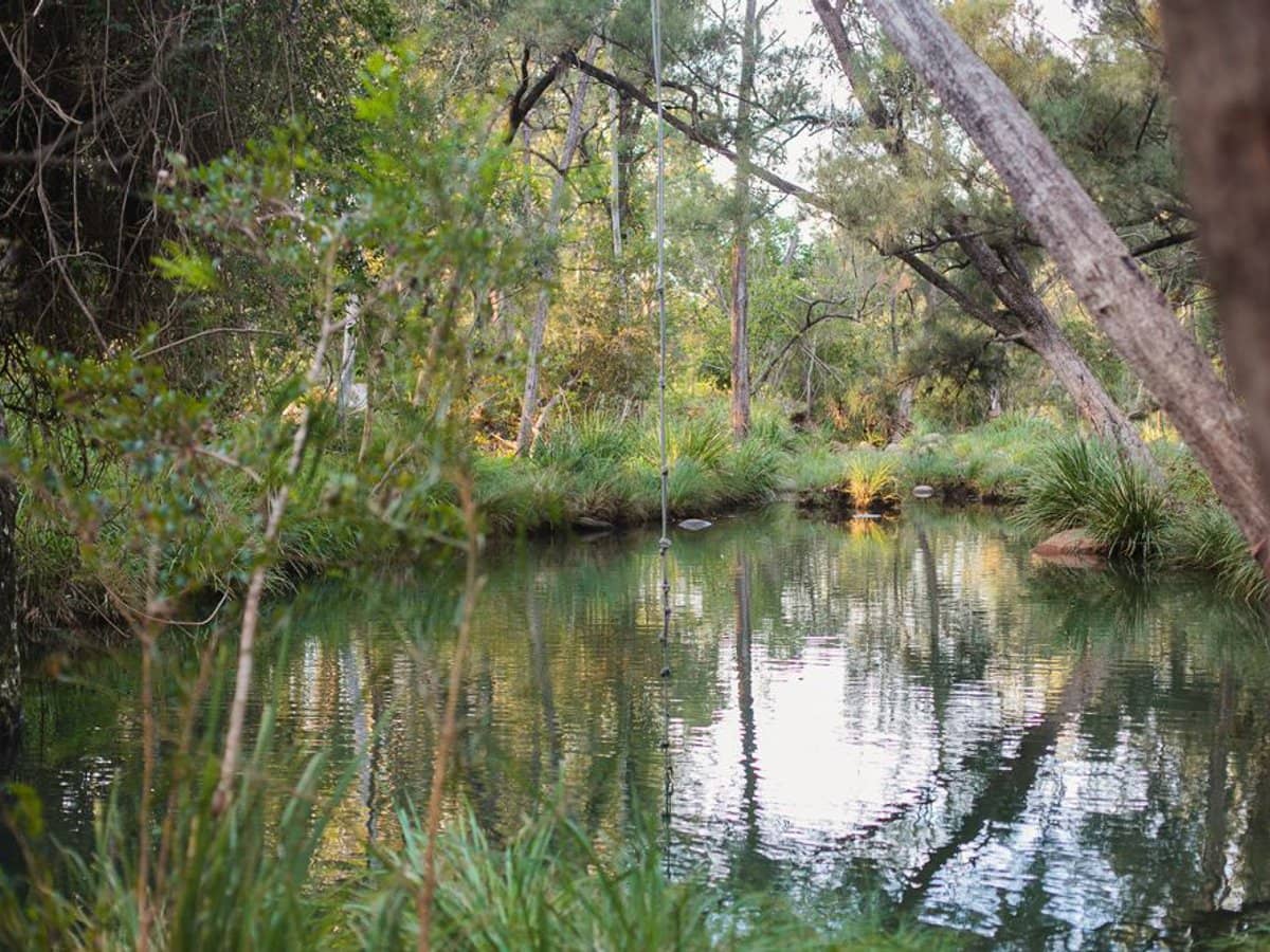 1093 Upper Logan Road, Mount Barney - Thumbnail 8