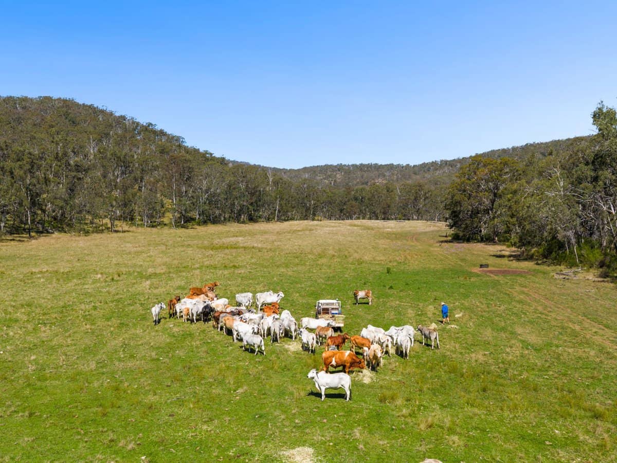 'Yabragunyah' Pilton Valley Road, Upper Pilton - Thumbnail 1