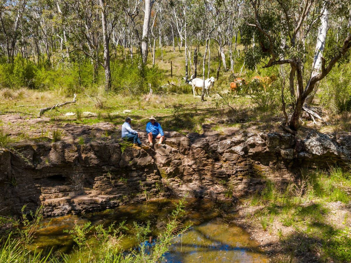 'Yabragunyah' Pilton Valley Road, Upper Pilton - Thumbnail 3