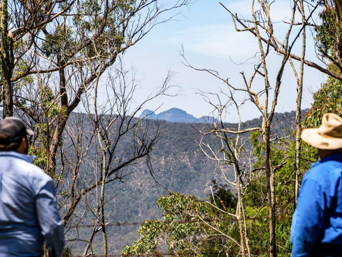 'Yabragunyah' Pilton Valley Road, Upper Pilton - Thumbnail 4
